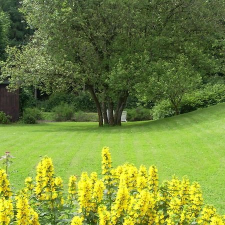 Farm Stay Heidehof Hellenthal Eksteriør billede