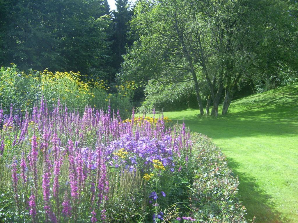 Farm Stay Heidehof Hellenthal Eksteriør billede