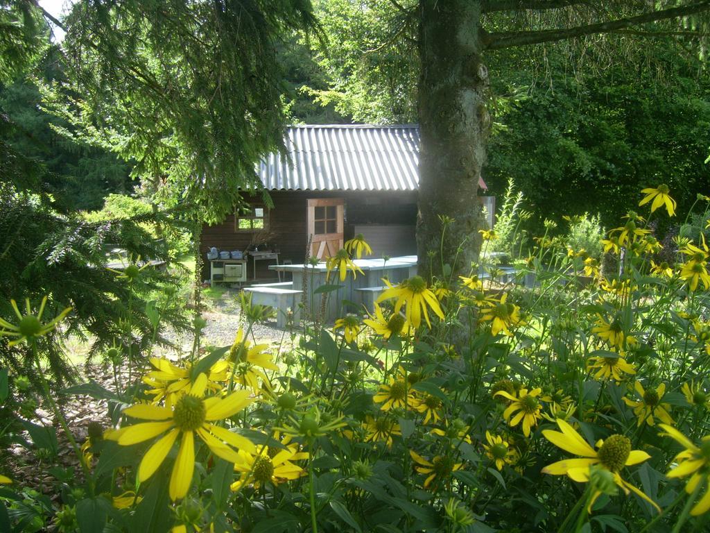 Farm Stay Heidehof Hellenthal Eksteriør billede