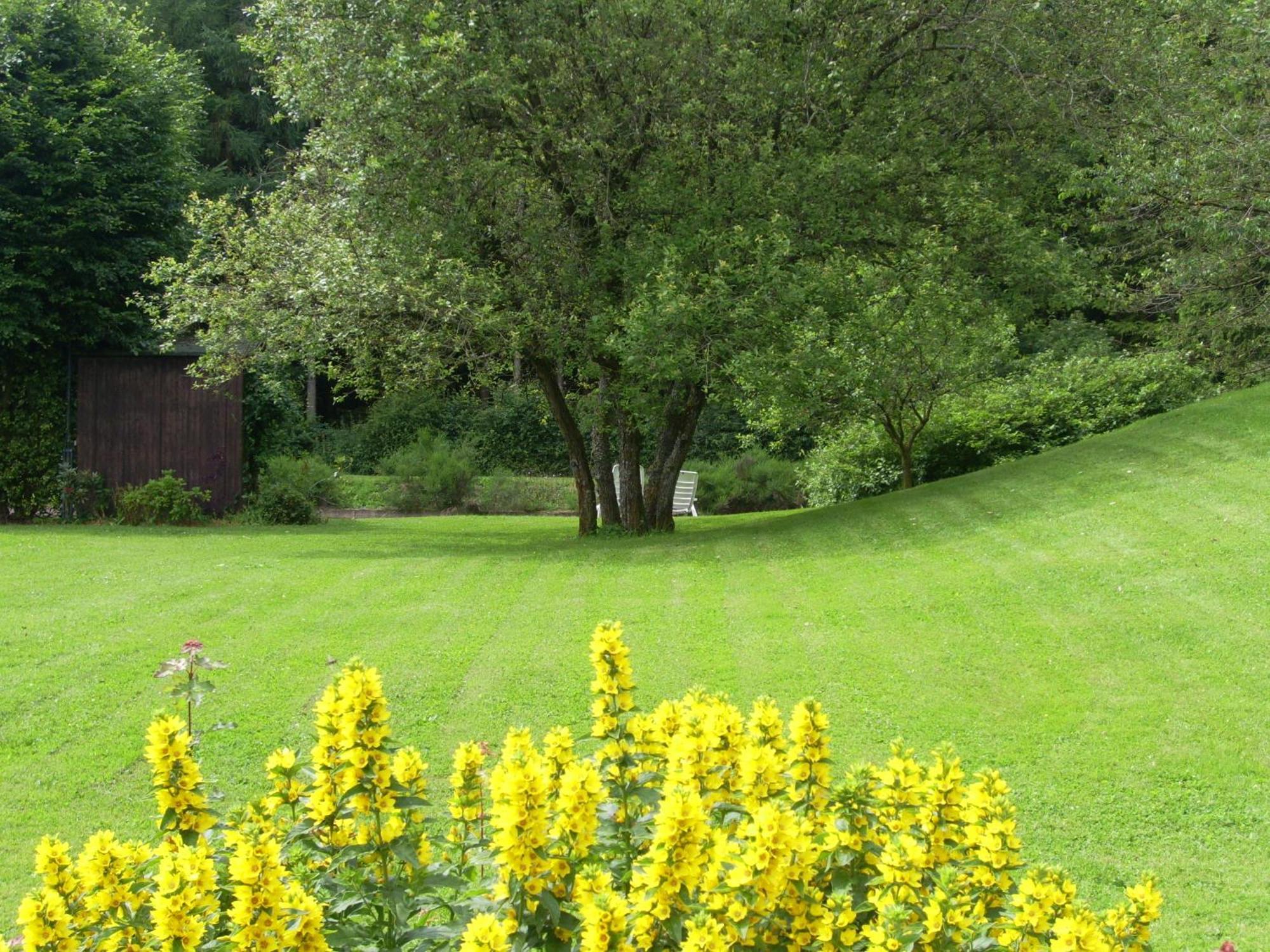 Farm Stay Heidehof Hellenthal Eksteriør billede