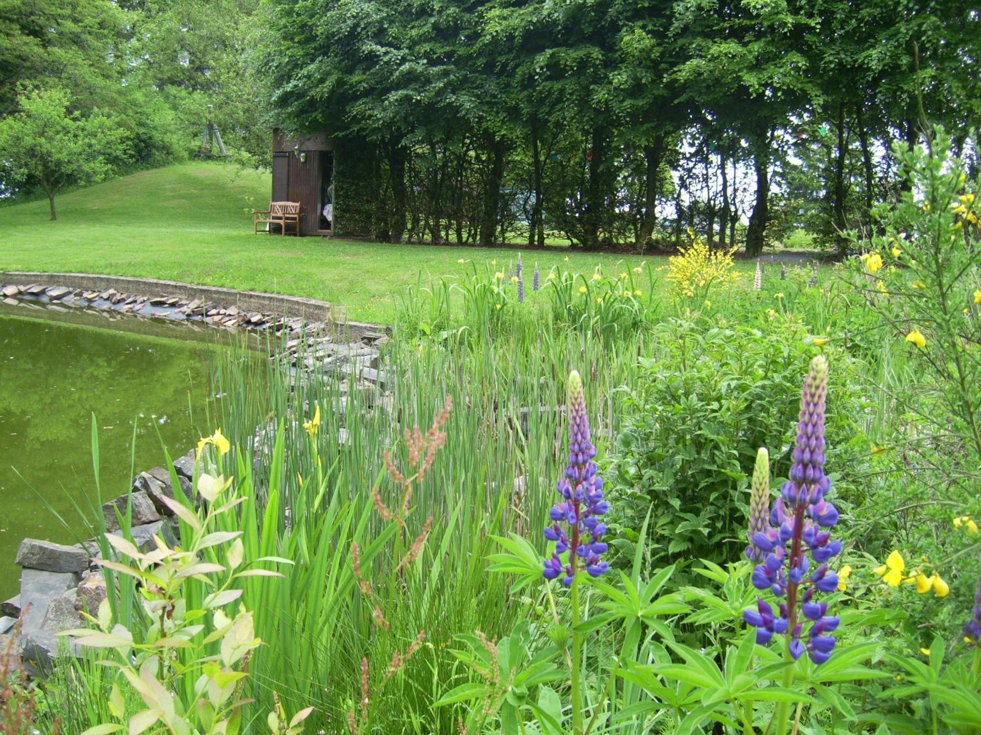 Farm Stay Heidehof Hellenthal Eksteriør billede